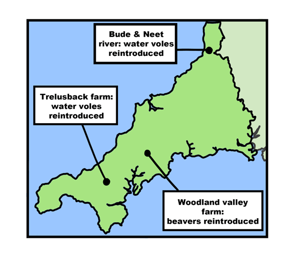 Rewilding projects in Cornwall:

Water Voles reintroduced at Bude & Neet river
Beavers reintroduced at Woodland Valley farm
Water Voles reintroduced at Trelusback farm